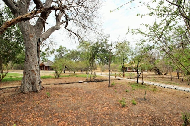 Gallery - Africa Safari Selous