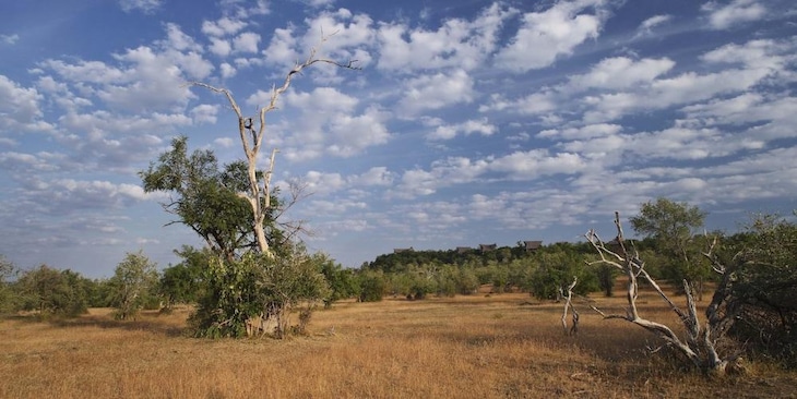 Gallery - The Retreat Selous