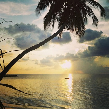 Gallery - Evexia Beach Collection - A Premium Wellness Retreat
