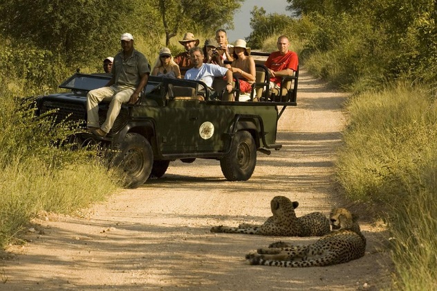 Gallery - Aha Makalali Private Game Reserve