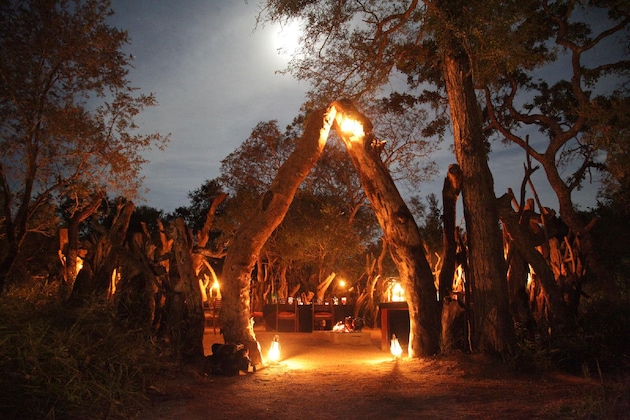 Gallery - Tintswalo Safari