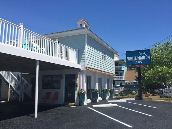 Gallery - White Marlin Inn