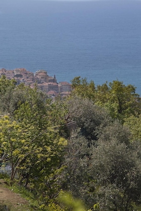 Gallery - Il Mirto Bed And Breakfast