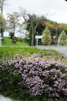 Gallery - Blenheim Bridges Holiday Park
