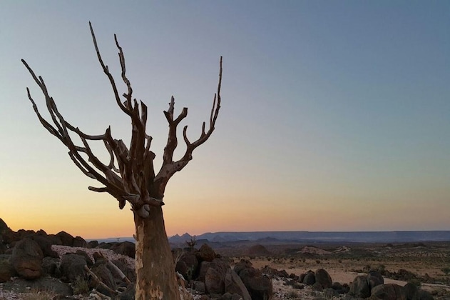 Gallery - Tutwa Desert Lodge