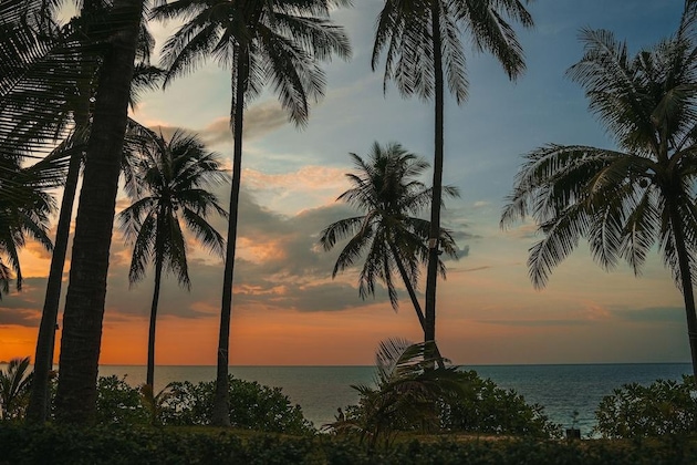Gallery - Beachside Villa Baylis