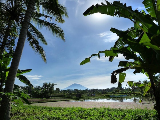 Gallery - Temuku Villas Ubud