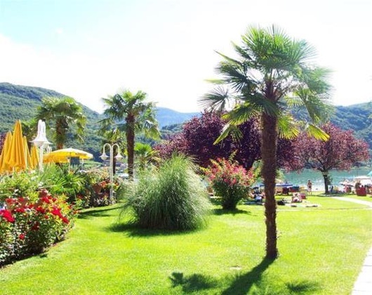 Gallery - Seegarten