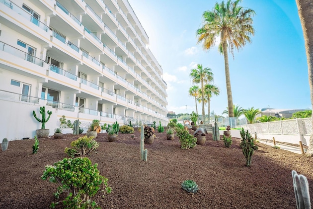 Gallery - Coral Ocean View - Only Adults