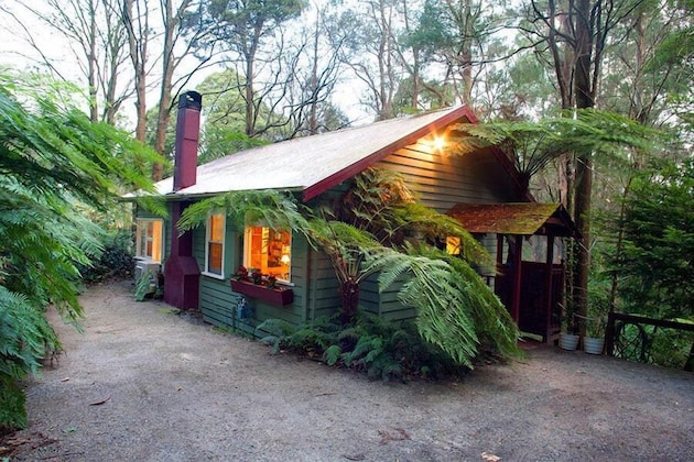 Gallery - A Cottage in the Forest