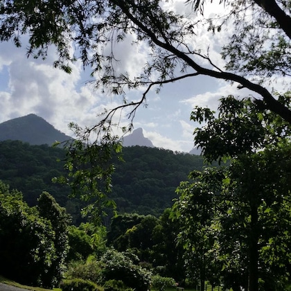 Gallery - A View Of Mt Warning B&B