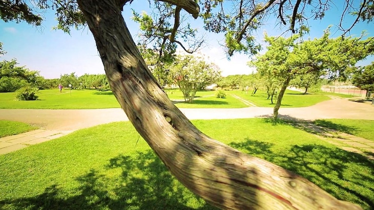 Gallery - Villaggio Dei Pini