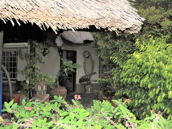 Gallery - Parrot Lodge