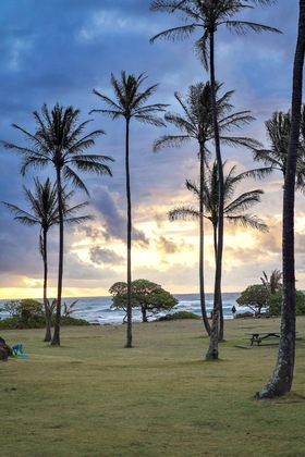 Gallery - Hilton Garden Inn Kauai Wailua Bay