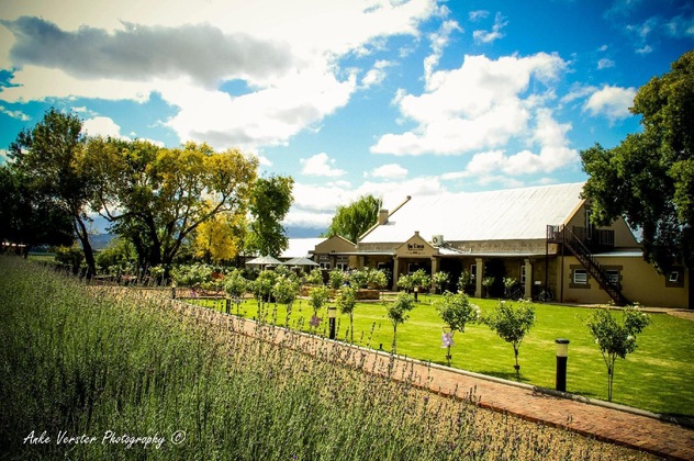 Gallery - Surval Boutique Olive Estate