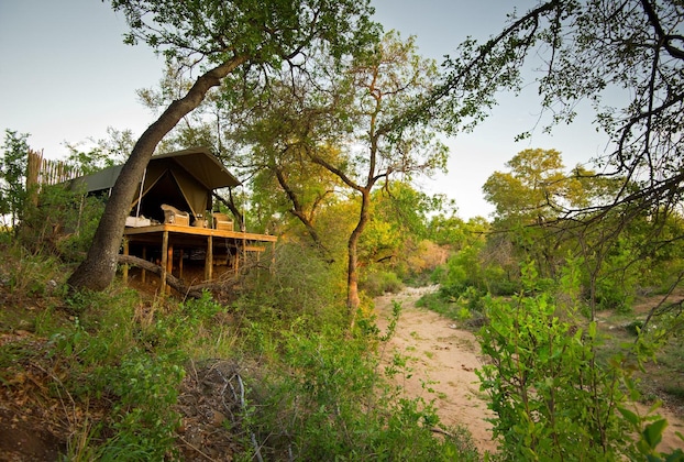 Gallery - Klaserie Sands Safari Trails