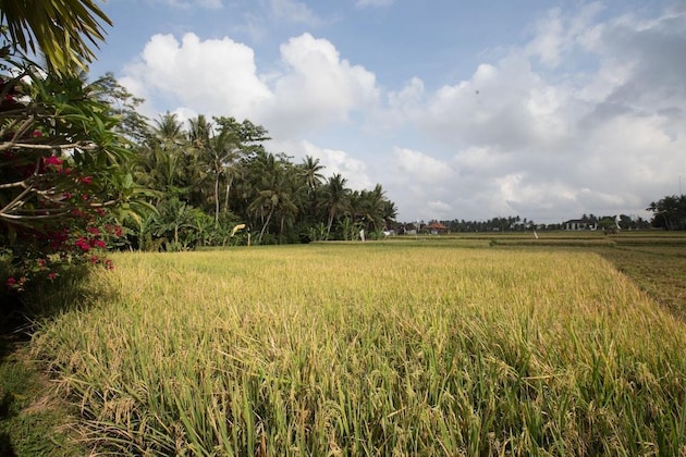 Gallery - Asri Sari Villa Ubud