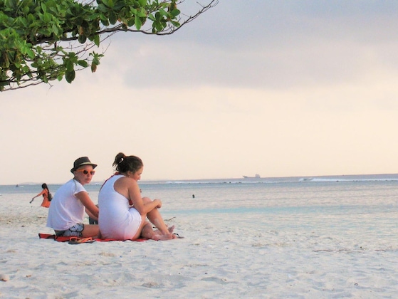 Gallery - Planktons Beach