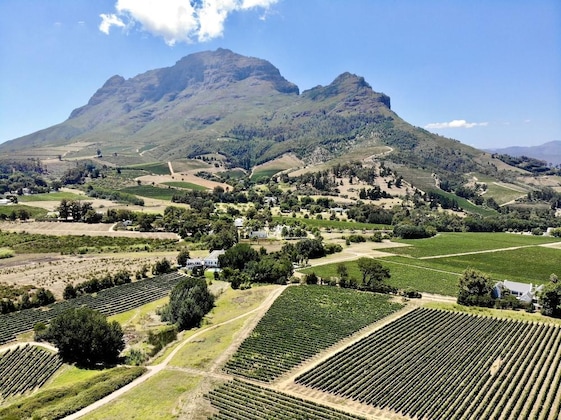 Gallery - Le Pommier Wine Estate