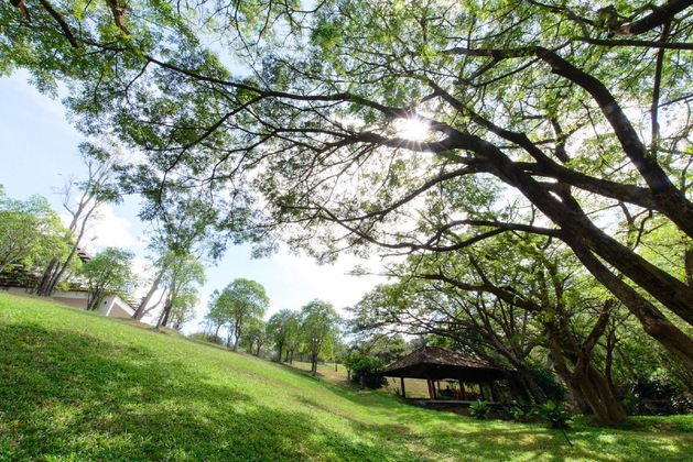Gallery - Rain Tree Khao Yai Hotel