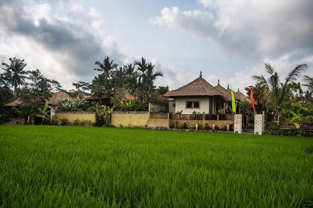 Gallery - Villa 6 habitaciones, Ubud