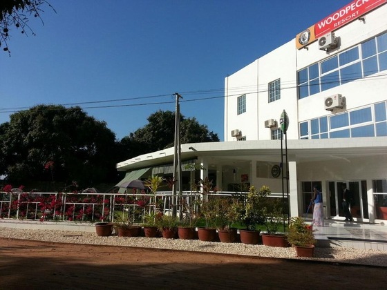Gallery - Woodpecker Resort