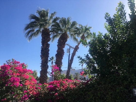 Gallery - Inn At Palm Springs