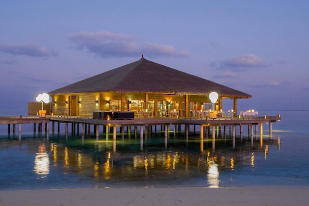 Gallery - Cocoon Maldives - All Inclusive