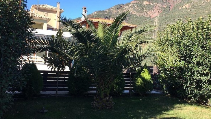 Gallery - Sun Villa Glyfada