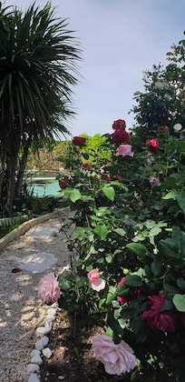 Gallery - Villa Solary
