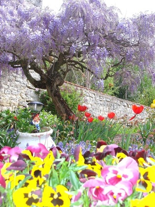 Gallery - Hôtel De La Ferté
