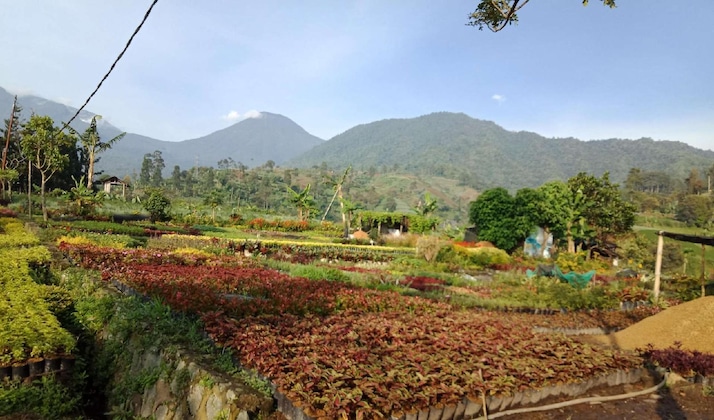 Gallery - Resort Prima Coolibah