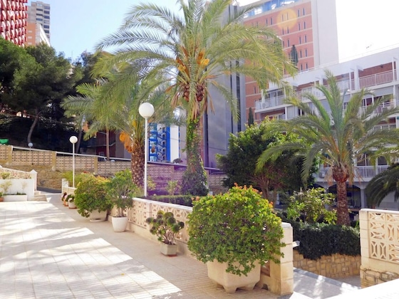 Gallery - Halcon Levante