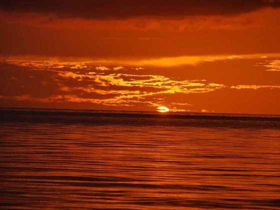 Gallery - Tahiti Sail And Dive