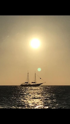 Gallery - Jardines Del Mar