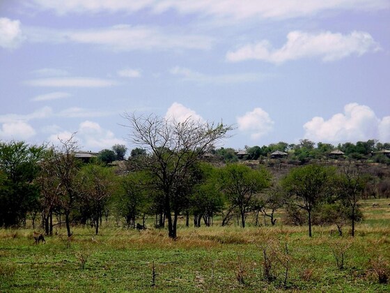 Gallery - Mbalageti Serengeti