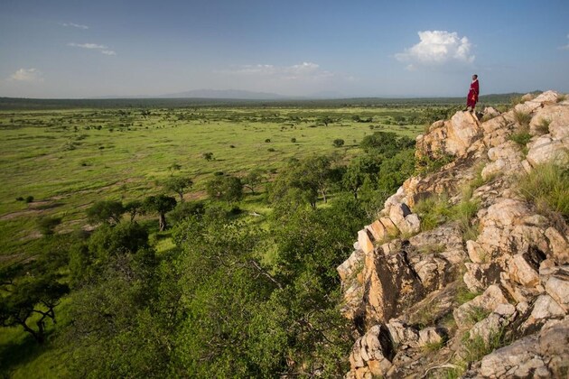 Gallery - Elewana Tarangire Treetops