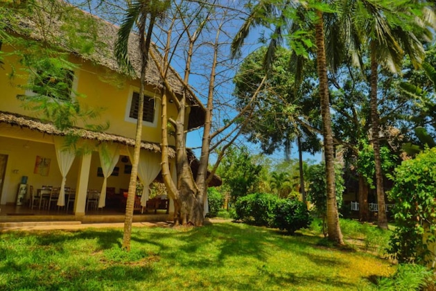 Gallery - Upani In Daini