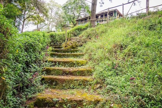 Gallery - Kimugu River Lodge