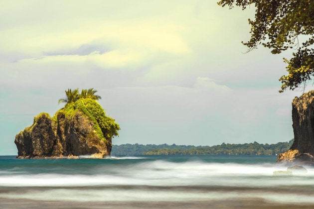 Gallery - Selina Puerto Viejo