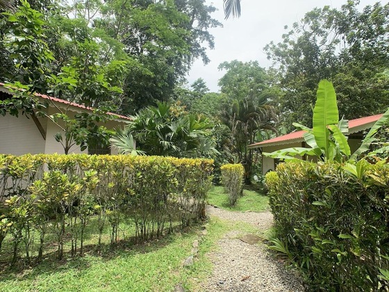 Gallery - Luna Caribeña Village