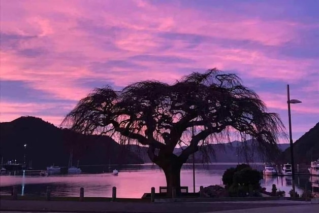 Gallery - Piwaka Lodge And Backpackers