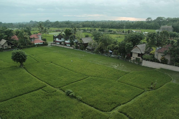 Gallery - The Evitel Resort Ubud