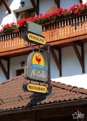 Gallery - Trattoria Al Gallo