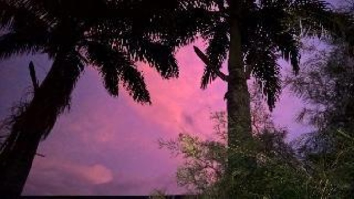 Gallery - Magnetic Island Bed and Breakfast