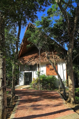Gallery - Ecovergel Riviera Maya Hotel Boutique