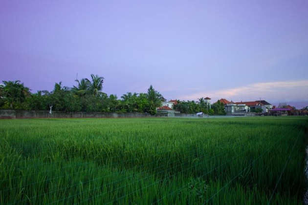 Gallery - Villa, Kuta del Norte