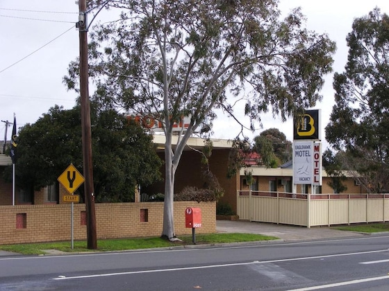 Gallery - Eaglehawk Motel