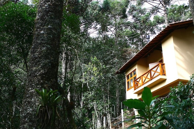 Gallery - Chalé Da Floresta