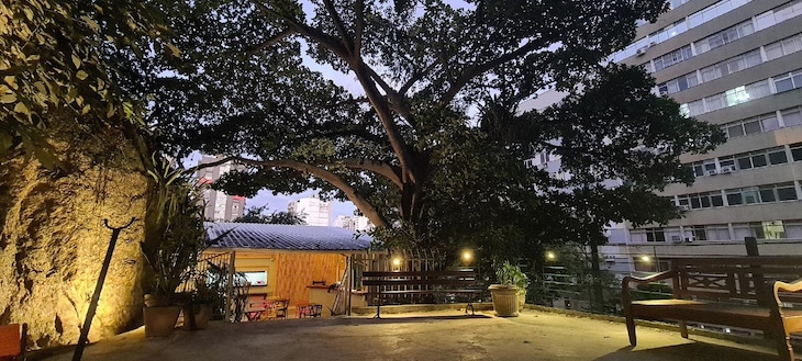 Gallery - Icarai Suites